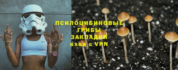 ешки Балахна